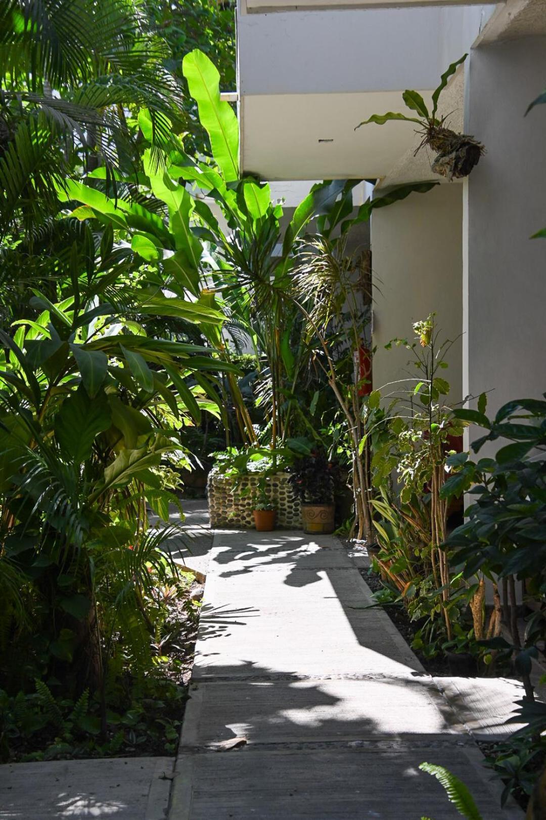 Hotel Palmeras 布塞里亚斯 外观 照片