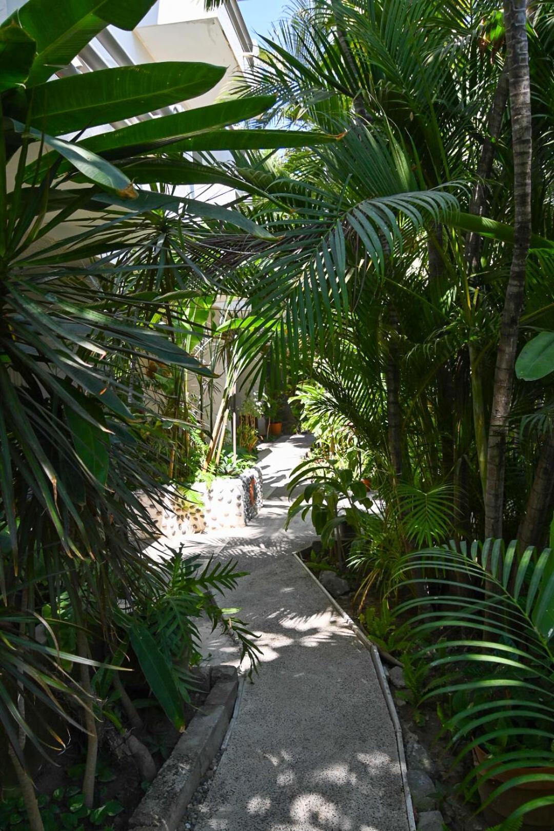 Hotel Palmeras 布塞里亚斯 外观 照片