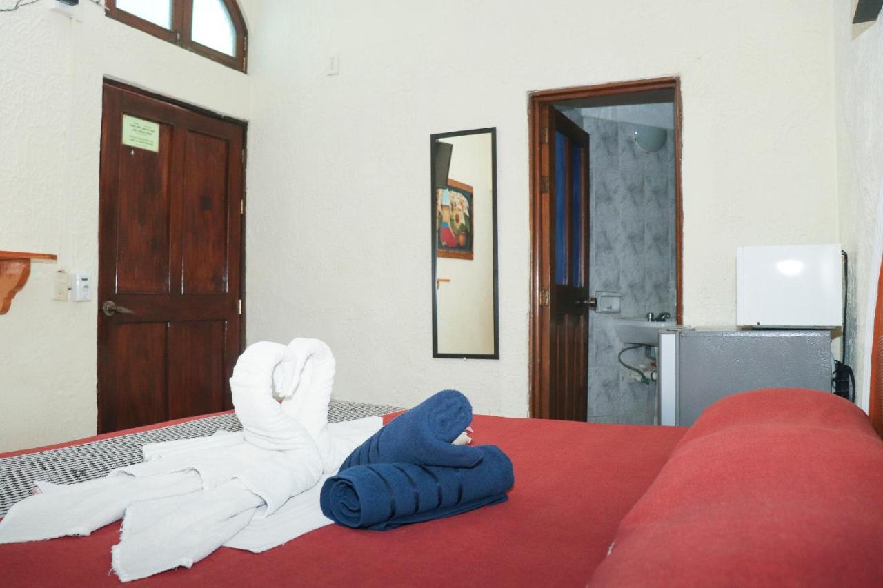 Hotel Palmeras 布塞里亚斯 外观 照片